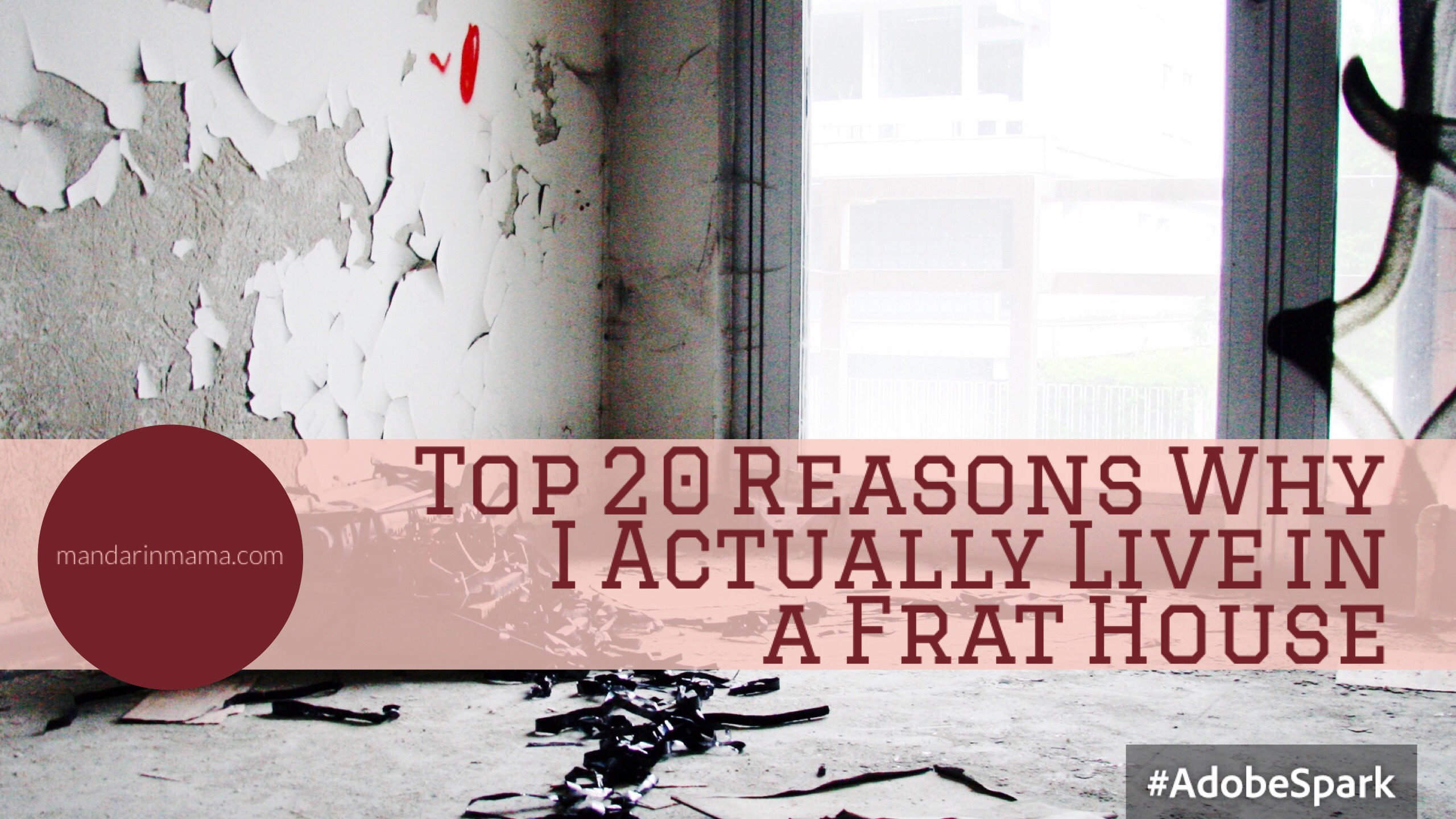 Top 20 Reasons Why I Actually Live in a Frat House