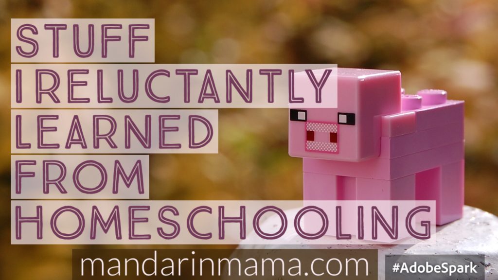 Stuff I Reluctantly Learned from Homeschooling, Vol. 4