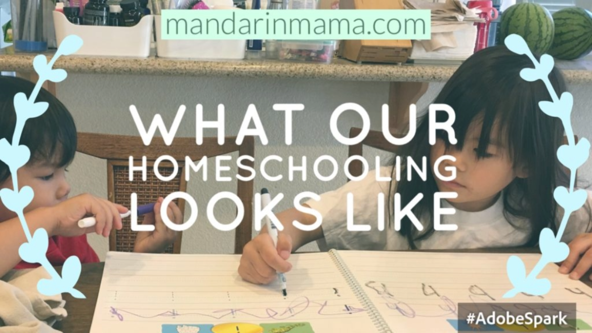What Our Homeschooling Looks Like