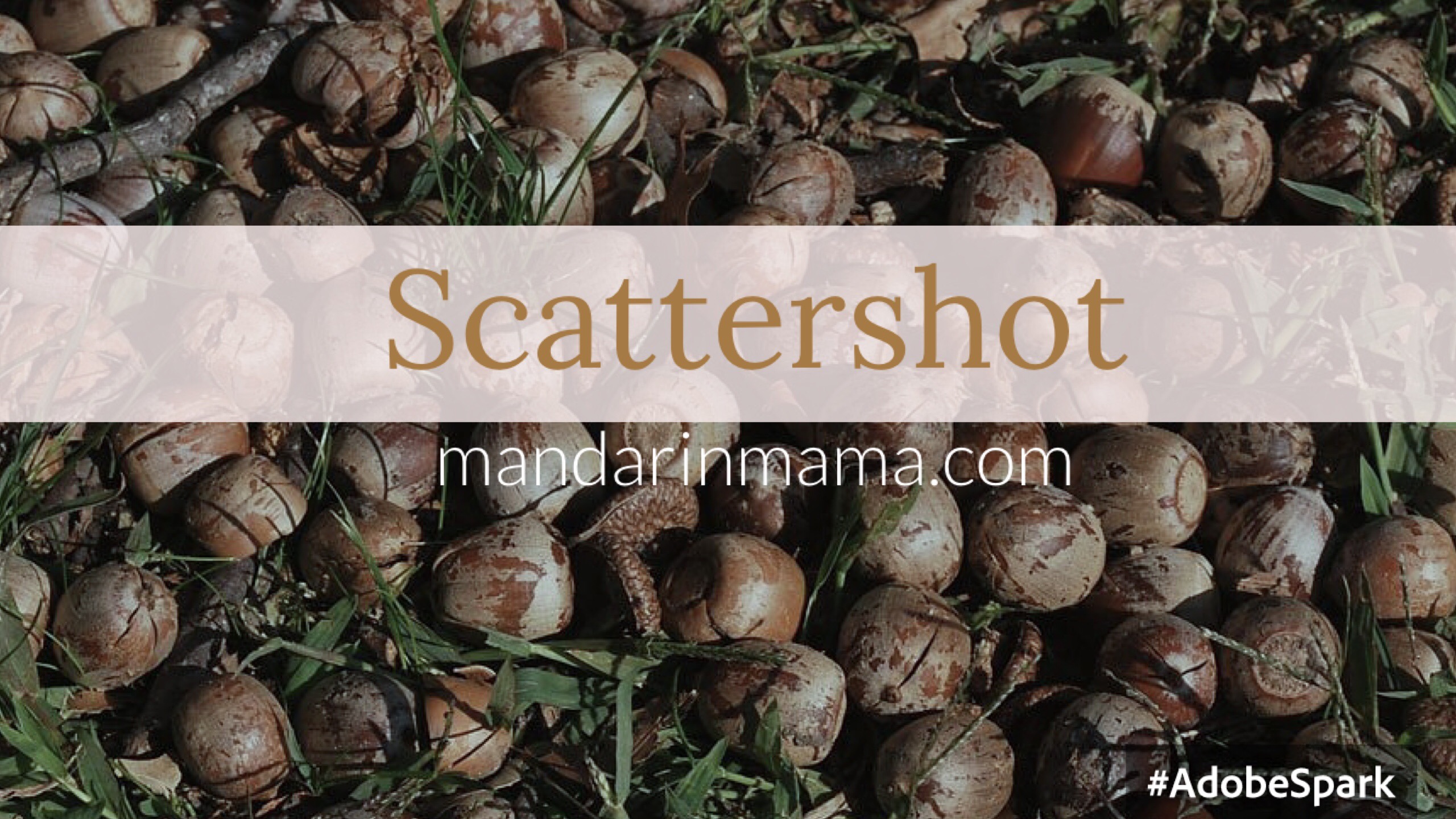 Scattershot