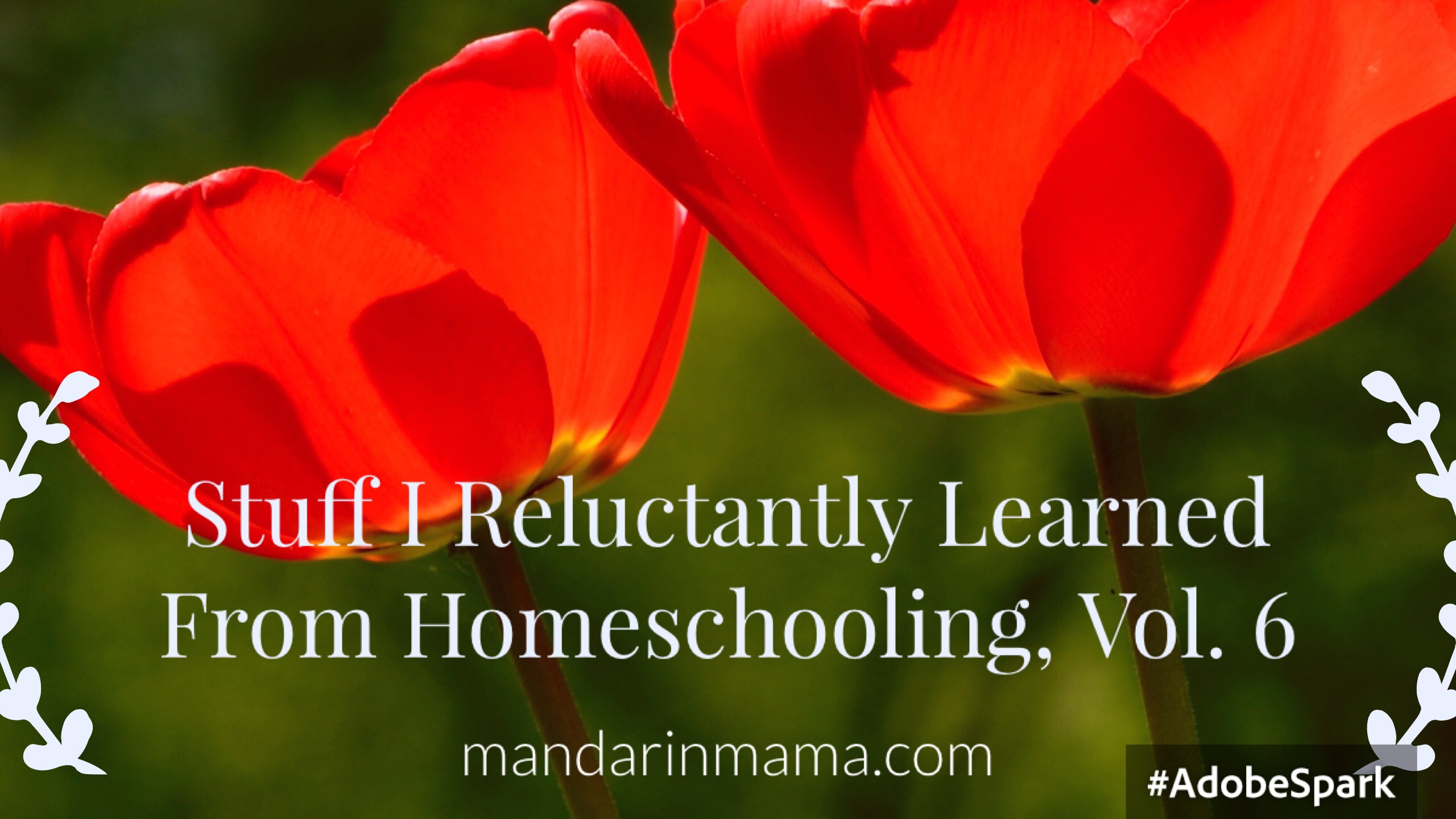 Stuff I Reluctantly Learned from Homeschooling, Vol. 6