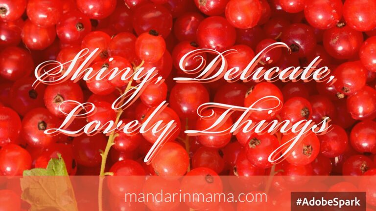 Shiny, Delicate, Lovely Things