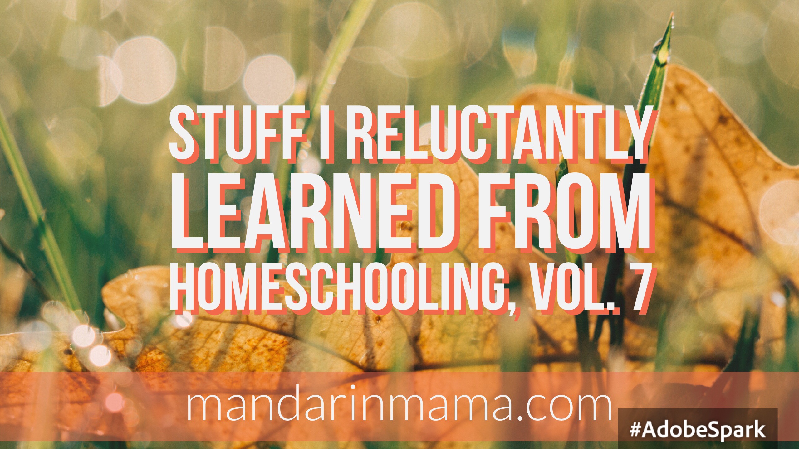 Stuff I Reluctantly Learned from Homeschooling, Vol. 7