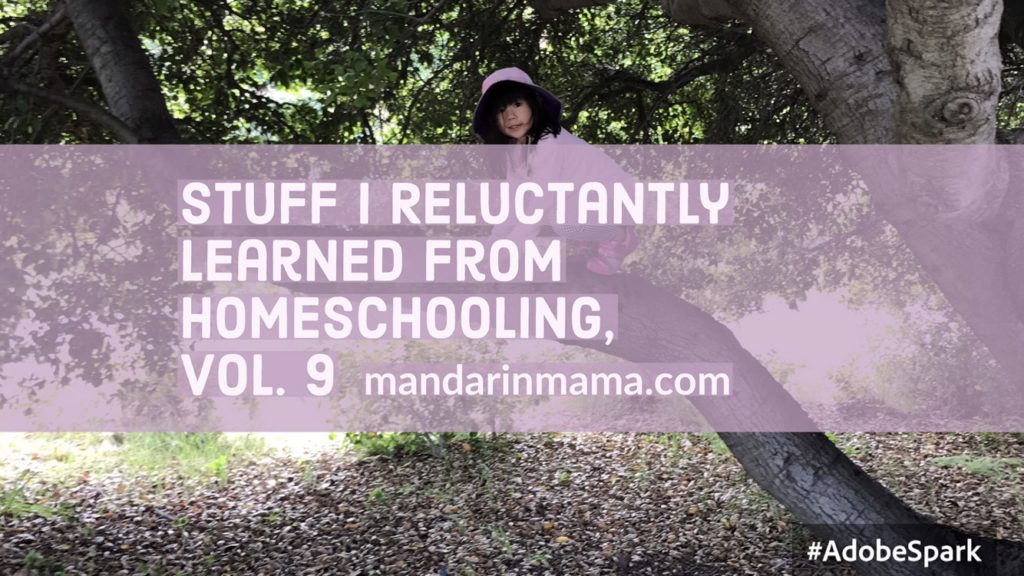 Stuff I Reluctantly Learned from Homeschooling, Vol. 9