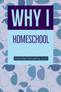 Why I Homeschool