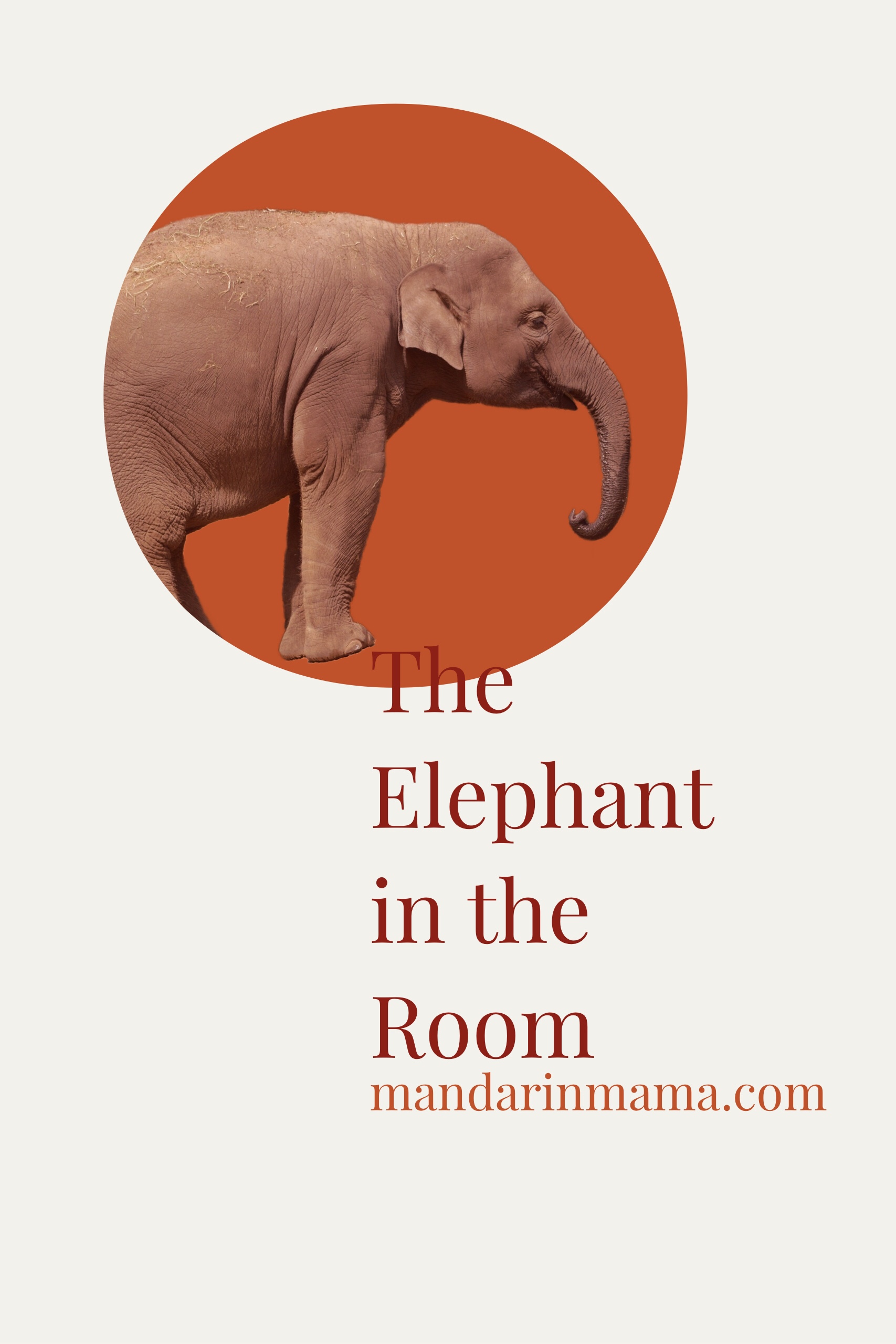 The Elephant in the Room