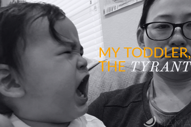 My Toddler, the Tyrant