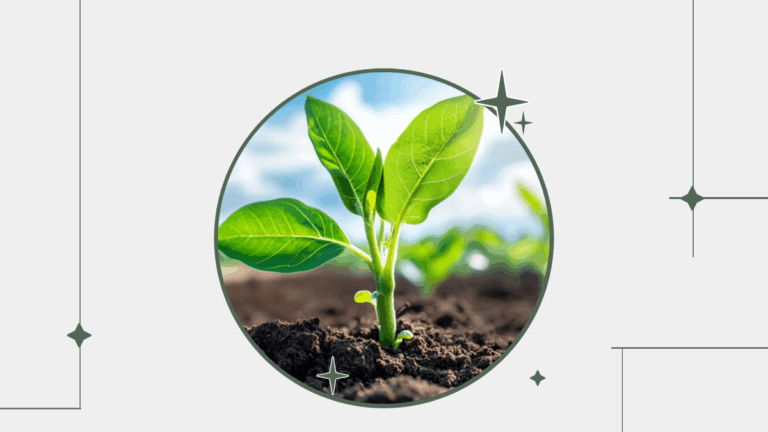 I Hope You Are Staying Safe